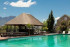 Protea Stellenbosch