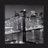 EUROGRAPHICS Avantgarde  Brooklyn Bridge  37 x 37 cm