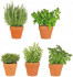 EUROGRAPHICS Window Stickers  All my Herbs  25 x 70 cm
