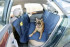 Kerbl Auto Schondecke für Hunde inkl. Reisetrinkflasche