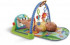 Fisher Price Rainforest Piano Gym BMH49